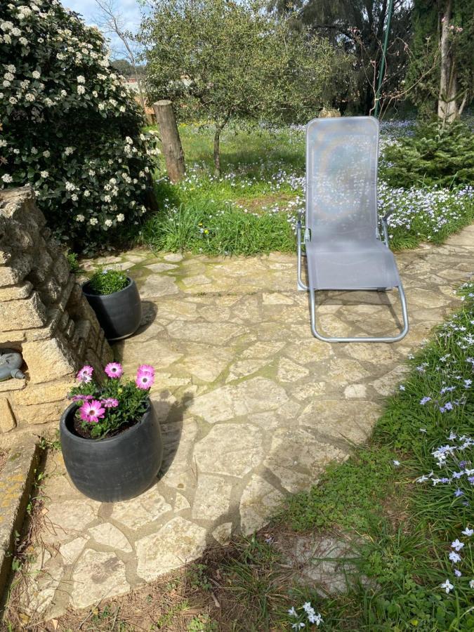 Studio Havre De Paix Au Pont Du Gard Piscine Et Jacuzzi Chez Valerie Payre Villa Vers-Pont-du-Gard Esterno foto